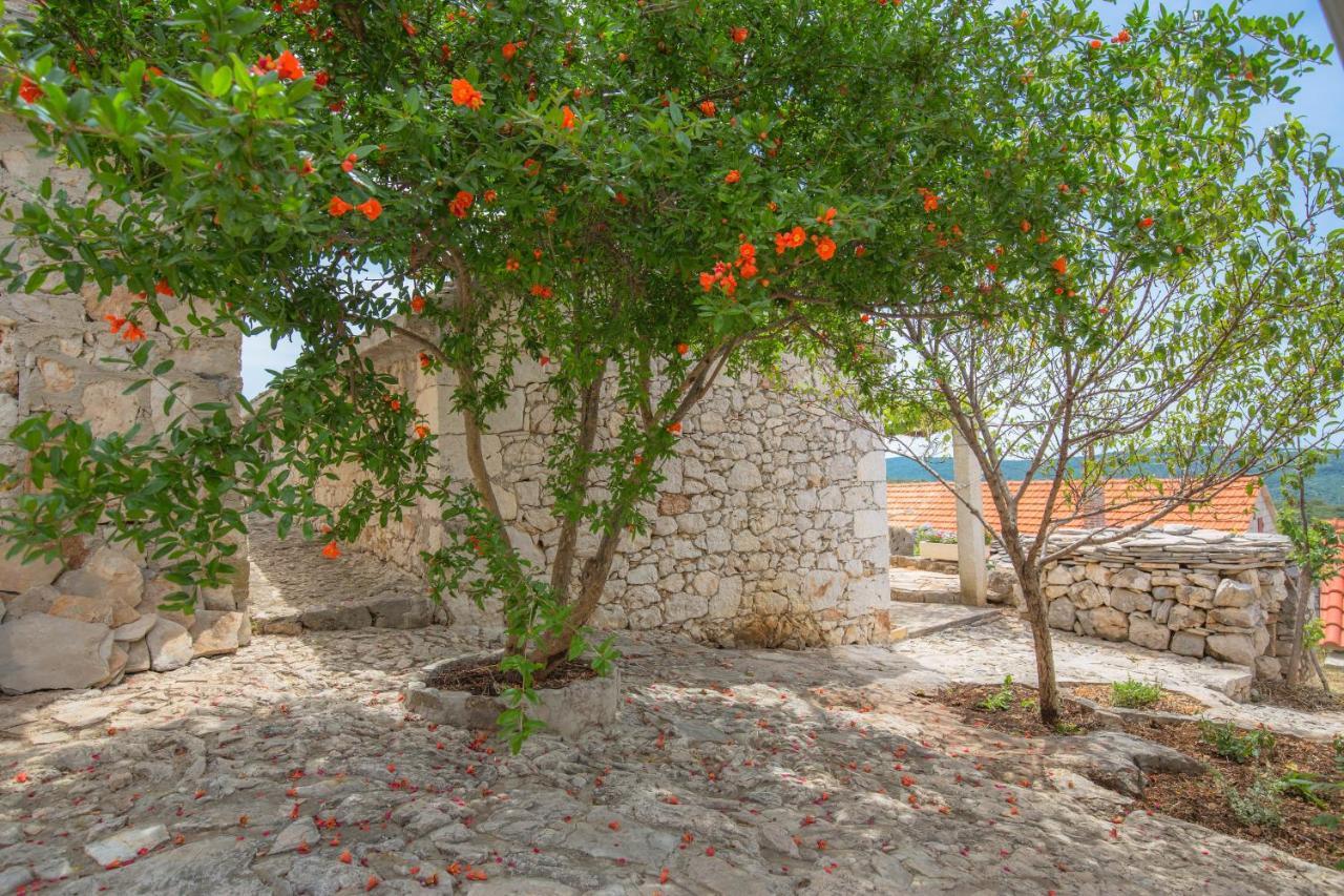 Вілла Dalmatian Stone House Рогозниця Екстер'єр фото